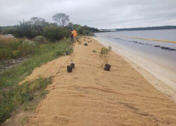 Naval Air Station Patuxent River Gets Earth Day Honors for Shoreline Restoration Work