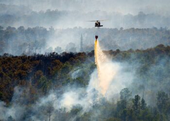 DOD Makes Climate Assessment Tool Available to Partner Nations