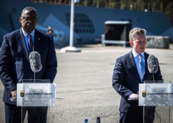 Austin: Sweden’s Taken Steps Toward Enhancing U.S. Partnership