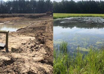 NAVFAC Washington Continues to Improve Water Quality in the Chesapeake Bay