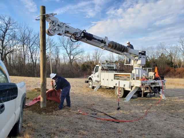BGAD White Oak Progeny Test Site [Image 1 of 4]