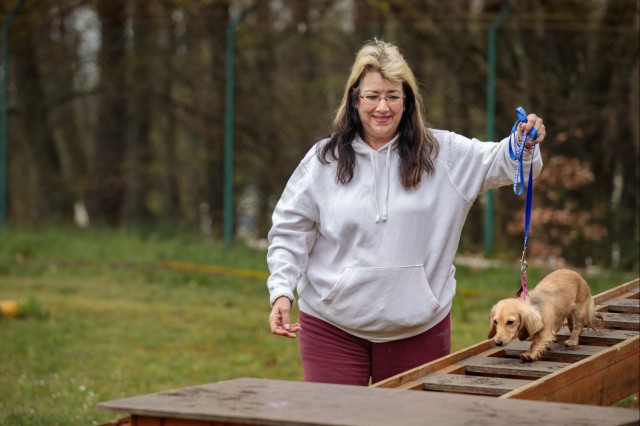 Dog Training available for Kaiserslautern Military Community