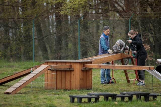 Dog Training available for Kaiserslautern Military Community
