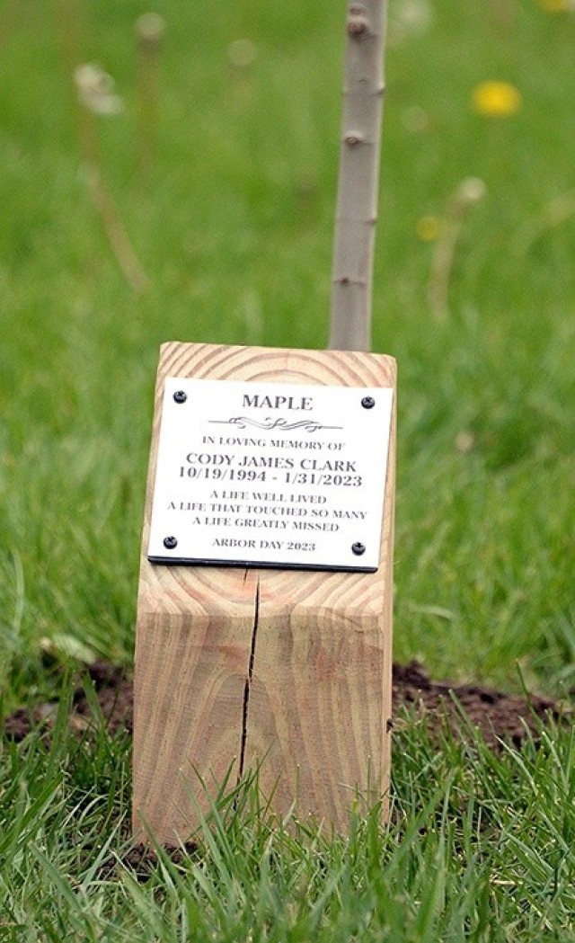 Memorial tree planted for Cody Clark at Skateboard Park