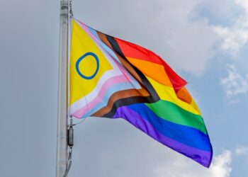 Pride flag flies over Hines VA hospital