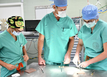 Marine Corps lessons shape VA surgeon, teacher