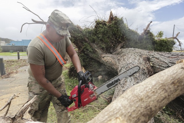 Spc. Victor Capati of the 1224th Engineer Support Company, Guam National Guard, cuts a fallen tree during a debris removal misison in Guam June 2, 2023 following Typhoon Mawar.