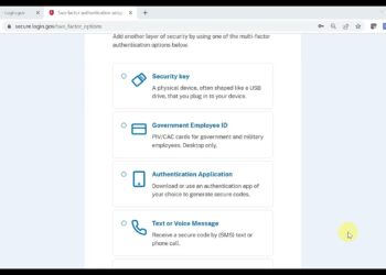 We’re looking for college interns. Apply now for the VSFS internship! (2023-2024 edition)