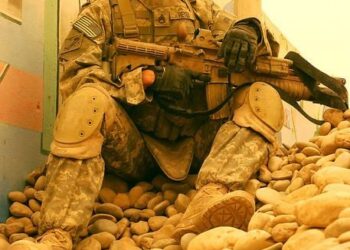 Purple Heart Day August 7: Honoring Those Wounded or Killed While Serving