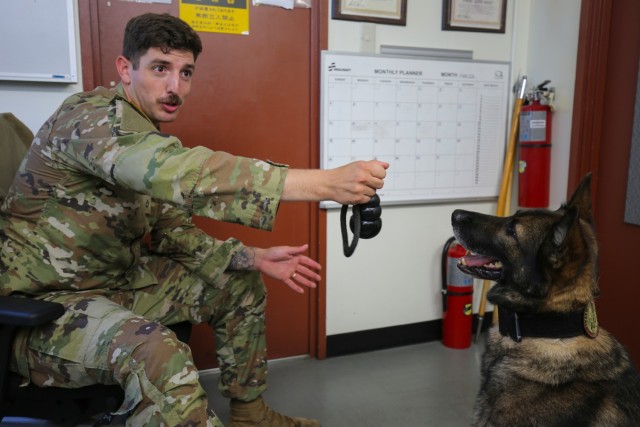Military working dog at Camp Zama begins retired life with former handler