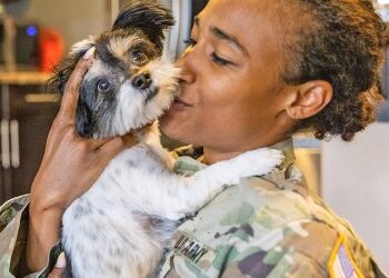 VA and Pet Partners renew partnership to support Veterans