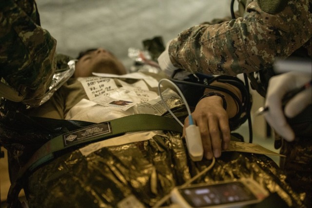 Multinational Soldiers train in various combat skills during Saber Junction 23