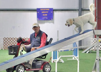 Man’s best friend helps Veteran amputee
