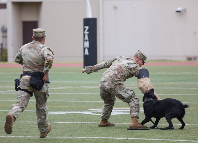 Sgt. Bruno Werneck, left, and Spc. Carter Hanson, both military working dog handlers assigned to the 901st Military Working Dog Detachment, demonstrate how one of their dogs, Lock, can apprehend a suspect during a Red Ribbon Week event at Camp Zama, Japan, Oct. 31, 2023. The demonstration capped off Zama Middle High School's weeklong campaign that encouraged students to live a drug-free lifestyle.