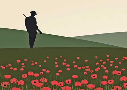 Poppies in field on Christmas Day