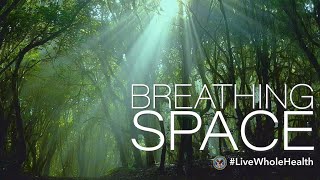 Live Whole Health #205: Peace in the present