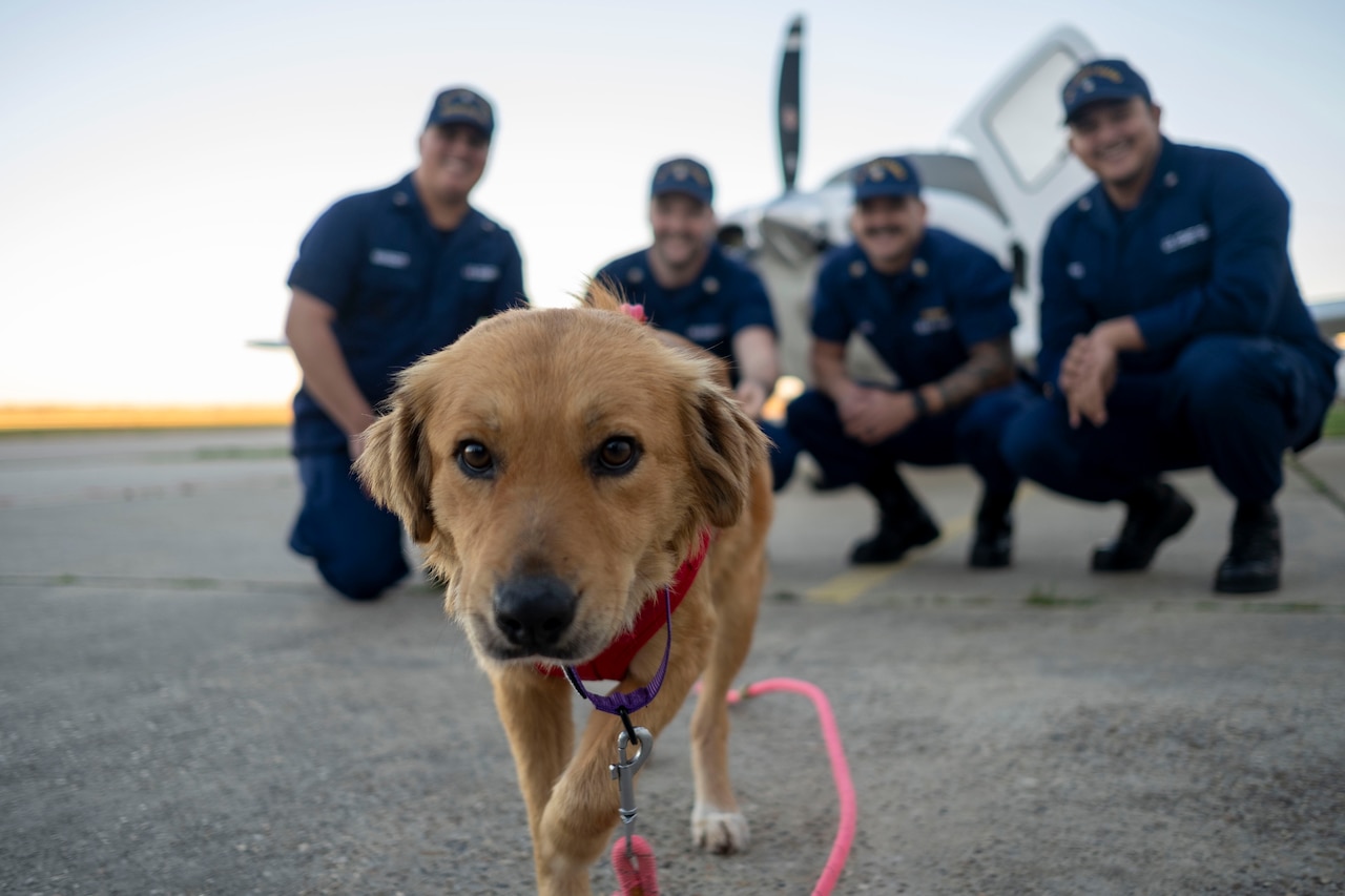 Coast Guard Members Reunite With Pooch They Saved