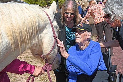 Horses enrich lives of Veterans at West Texas VA
