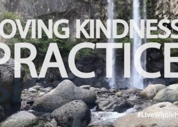 Live Whole Health #213: Doing the best we can