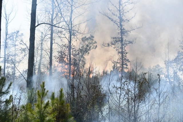 Fort Walker gets fired up with prescribed burns