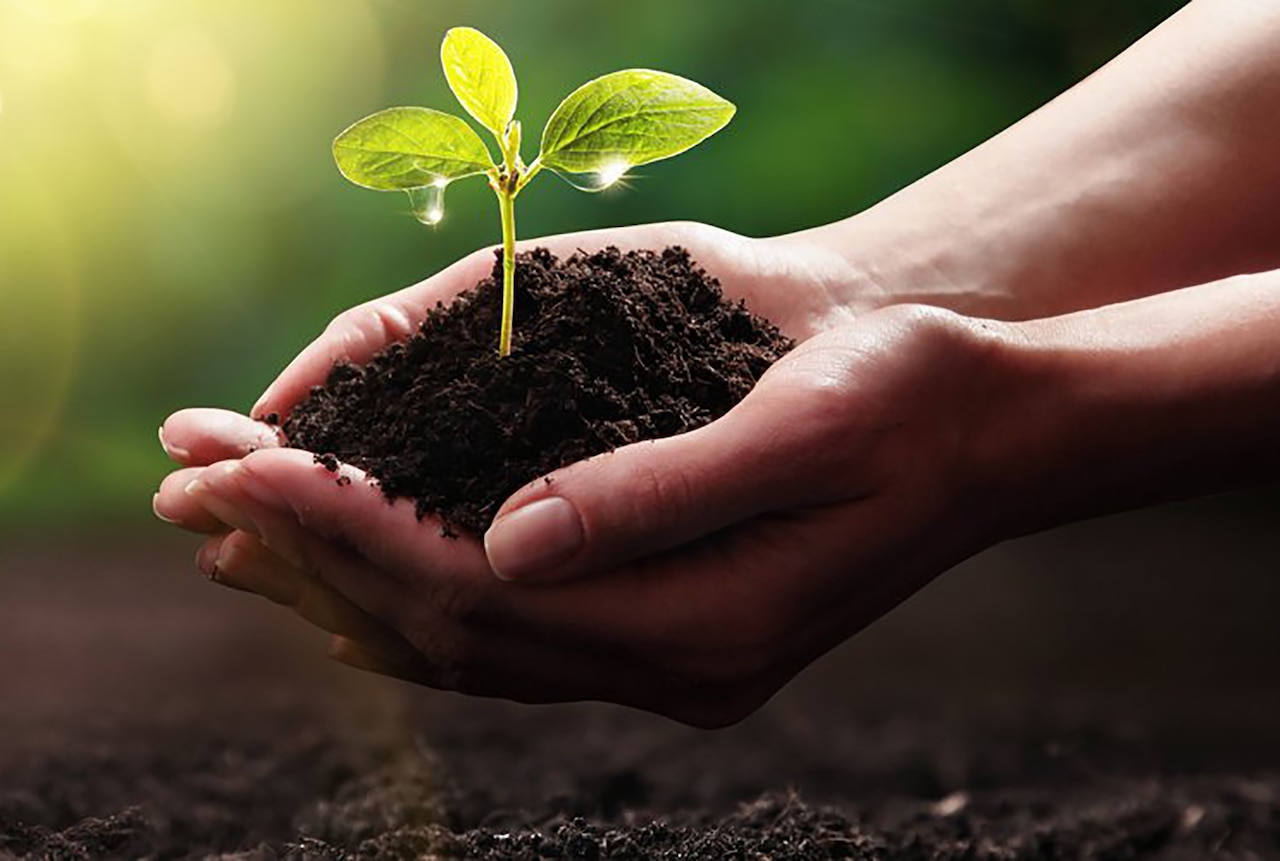 Earth Day Highlights DOD’s Efforts to Support Mission, People, Environment