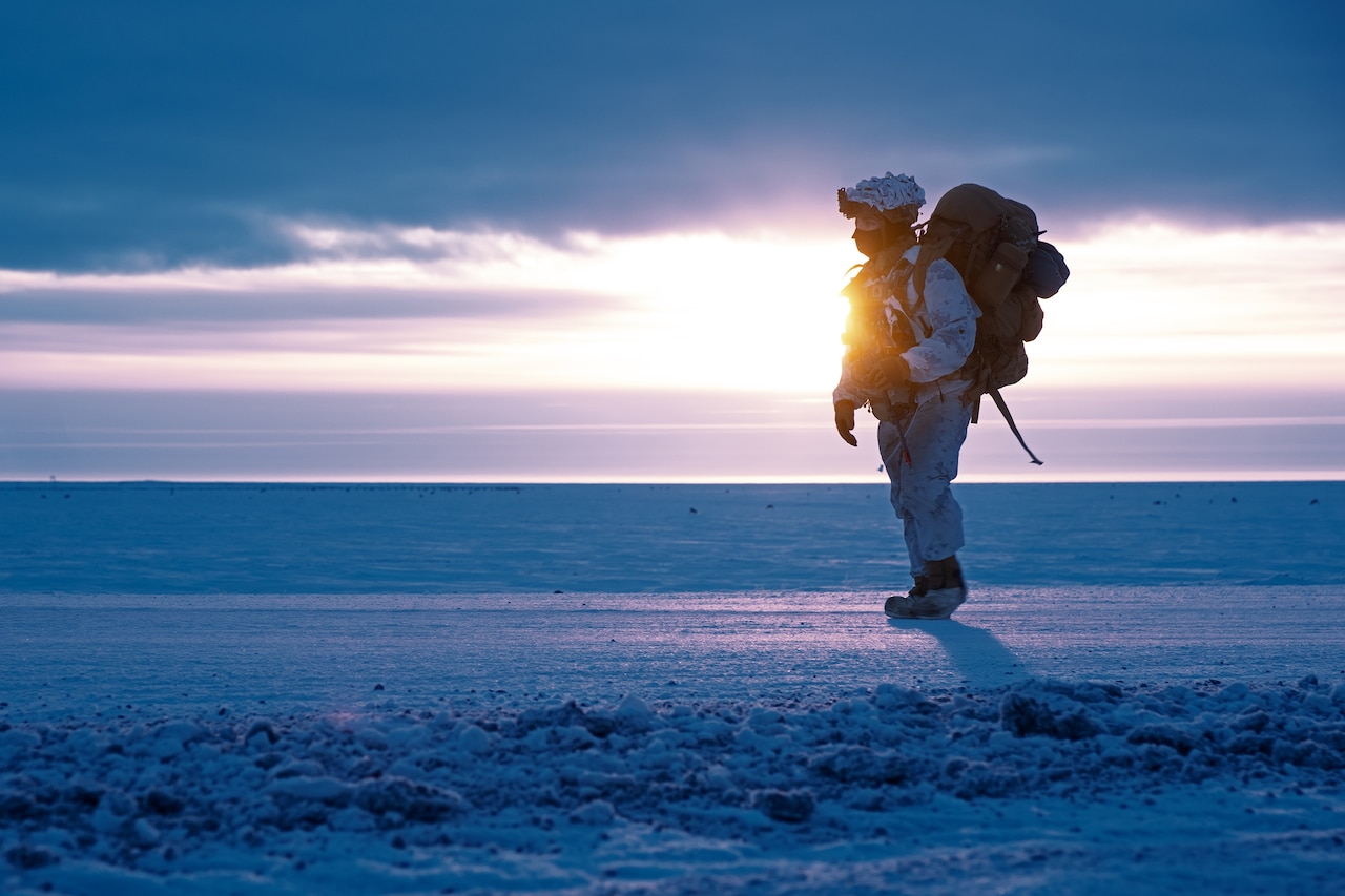 Pentagon Arctic Policy Official Underscores Critical Role of Alliances in Evolving Region