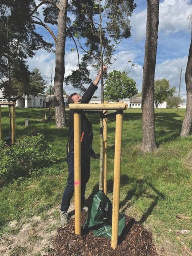 Sustaining Germersheim's Greenery: USAG-Rheinland-Pfalz commits to saving the planet, one tree at a time
