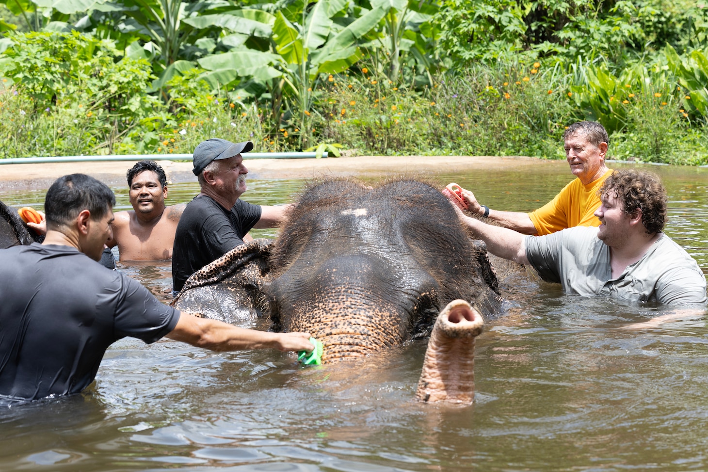 USNS Yukon Crew Visits, Swims with Thai Elephants
