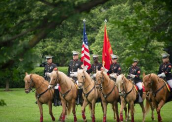 Mounted Marines Color the East Coast