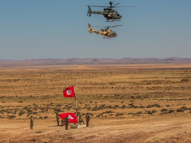 Joint, combined forces successfully execute distinguished visitors day at African Lion 2024