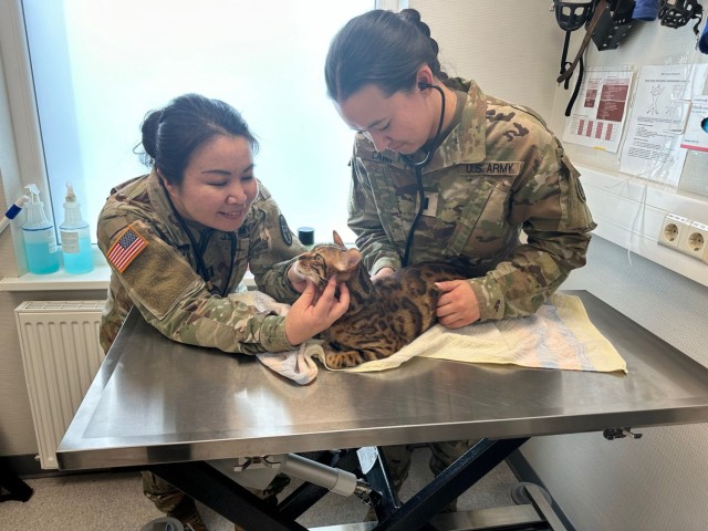 Capt. Paulynne Bellen (left) and 1st Lt. Isabella Carr (right) work through a sick call at the Baumholder Veterinary Treatment Facility in Baumholder, Germany.