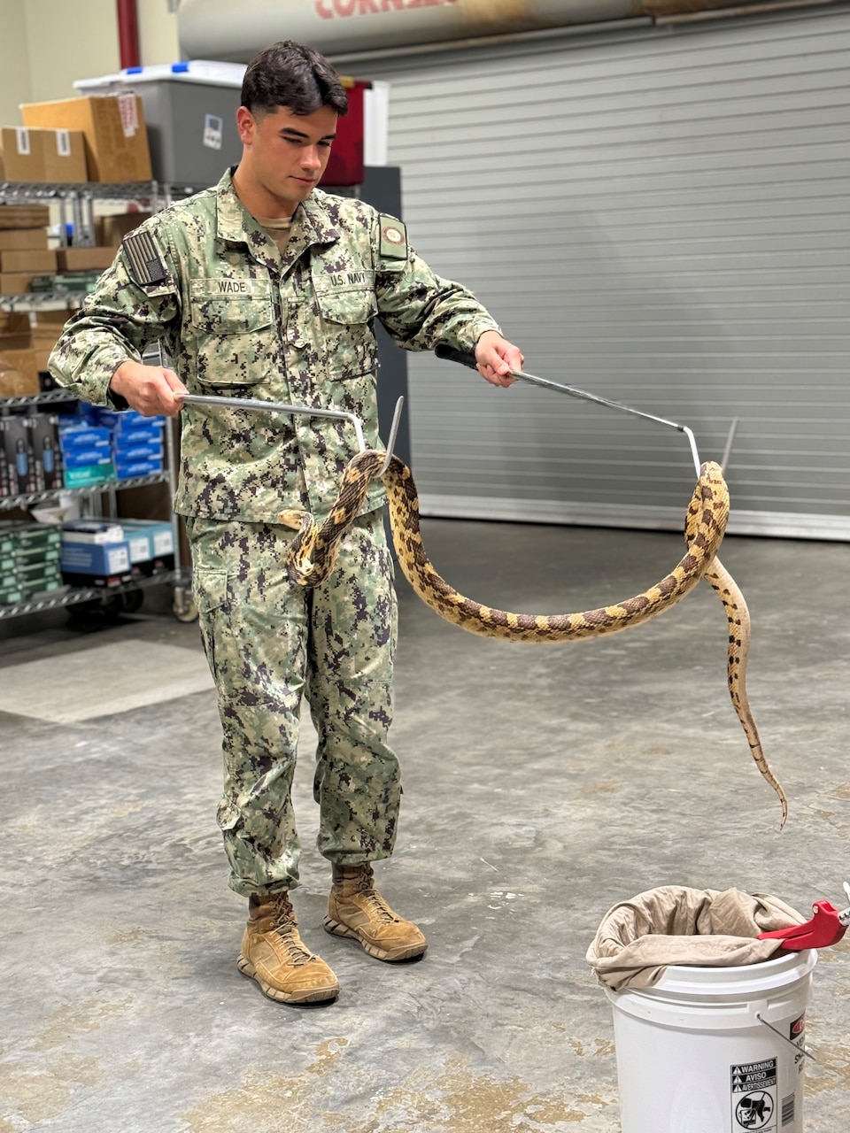Enhancing Force Health Protection: NECE and Rattlesnake Conservancy Conduct Venomous Snake Handling Training at Naval Air Station Jacksonville