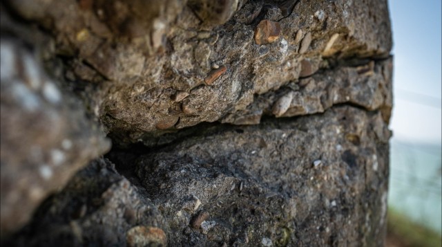 Big Red One Attends Annual D-Day Celebration