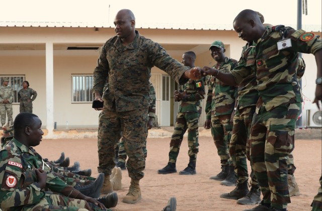 Armed Forces of Senegal demonstrate combat lifesaving skills during African Lion 2024