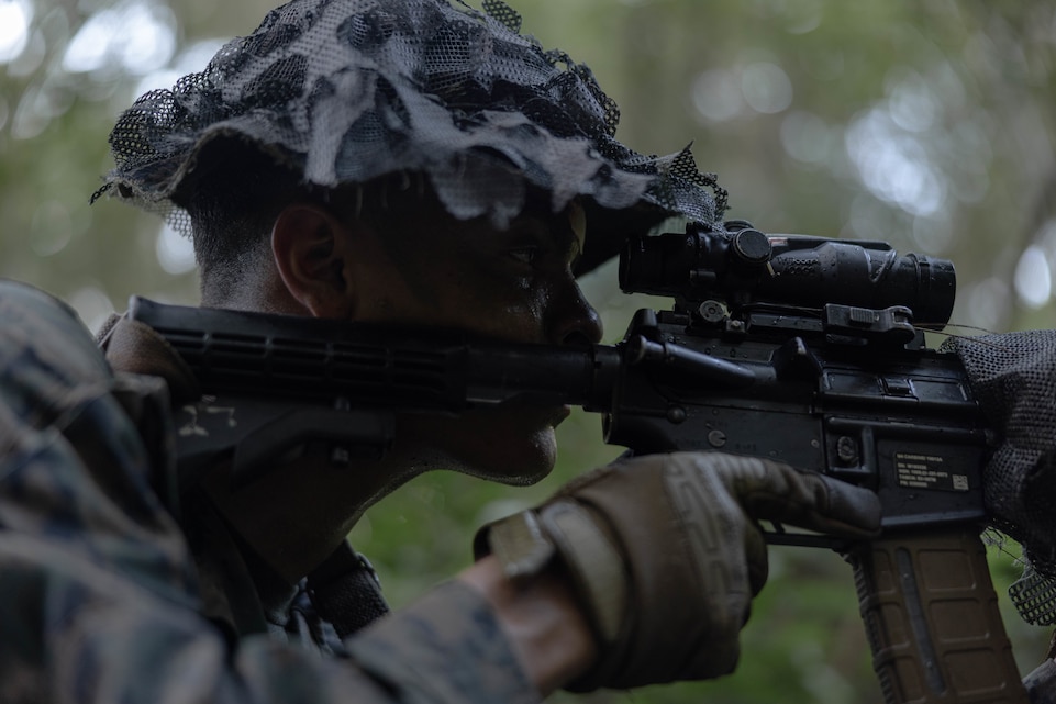 Tried, Tested, True: 5th ANGLICO Completes Certification Exercise 24.3