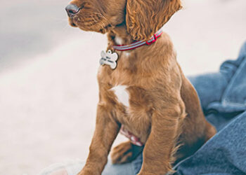 Preparations for hurricane season