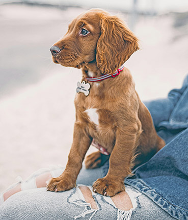 Preparations for hurricane season