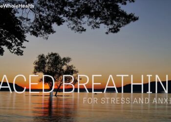 Live Whole Health #229: You are here