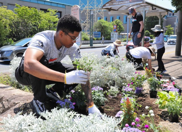 Several members of Camp Zama's Better Opportunities for Single Soldiers program join local volunteers of “Hanaue-tai,” or Flower Planting Group, to plant an array of new flowers June 5, 2024, at Zama City’s Yatoyama Park near Camp Zama....