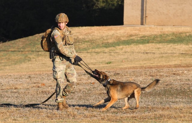 Working dogs support Soldiers behind scenes