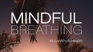 Live Whole Health #235: Bring your mind back with mindful breathing