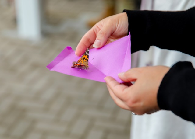 PICATINNY ARSENAL, N.J. - Butterfly release