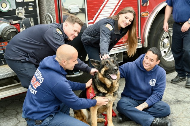 A group of PoM firefighters gather around King, a First Responder Therapy Dog, during a visit outside Fire Station 1, Presidio of Monterey, Calif., September 9.