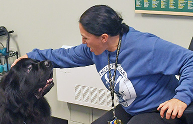 Therapy dog