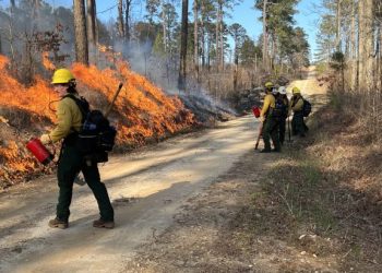 Gain experience in wildland fire fighting, prescribed burning with Veterans Fire Corps