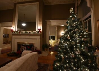 Holiday Safety: Important Tips to Keep in Mind