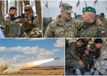 YEAR IN REVIEW: Army strengthens alliances with partners, bolsters interoperability