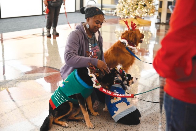 A woman sits on the floor surrounded by three dogs, petting one sitting to her right.