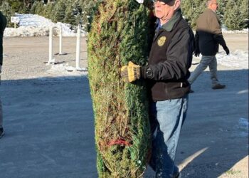 New York National Guard Soldiers Volunteer to Assist in Trees for Troops