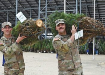 Trees for Troops brings holiday cheer to The Great Place